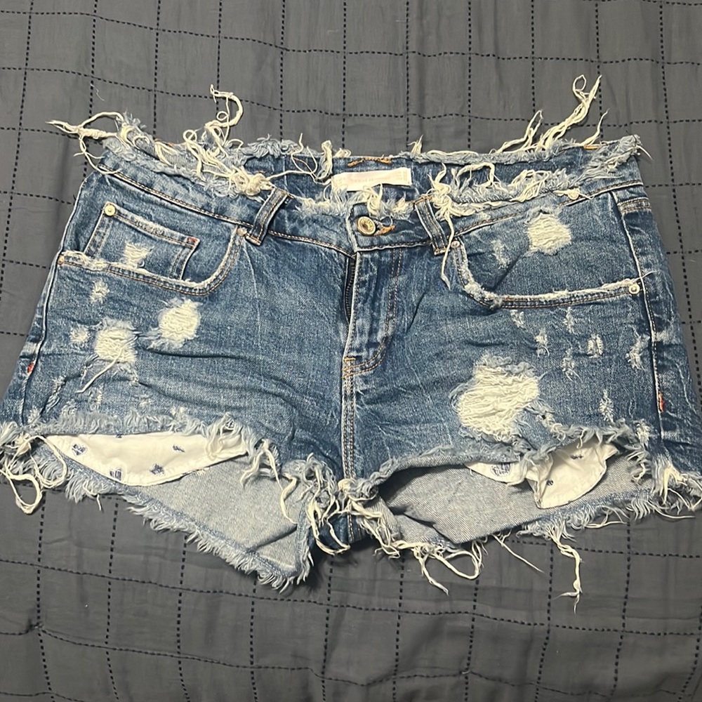Zara Shorts